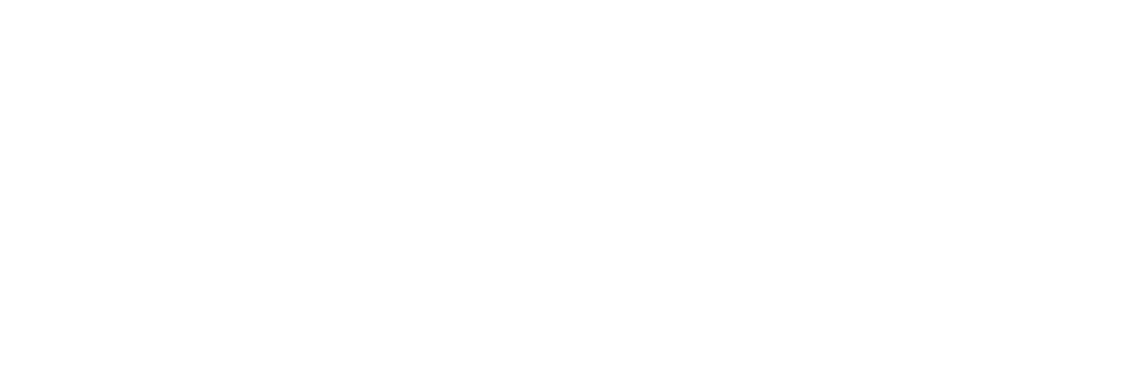thedesignora-logo-final-white